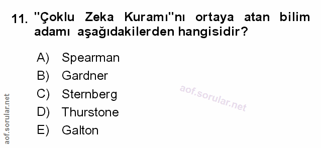 Soru 11