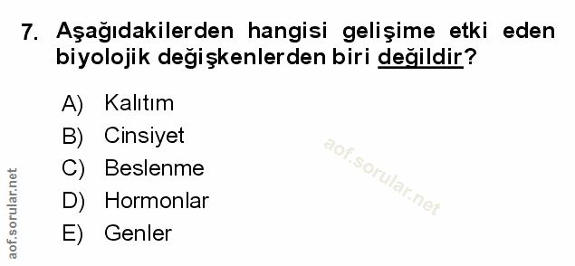 Soru 7