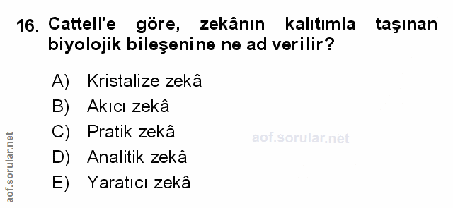Soru 16
