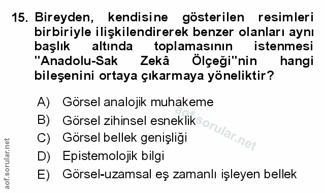 Soru 15