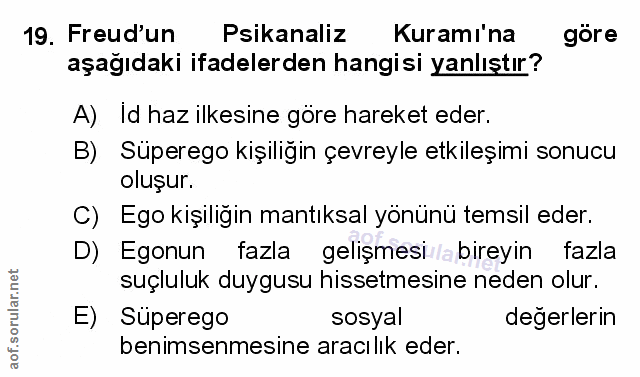 Soru 19