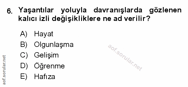 Soru 6