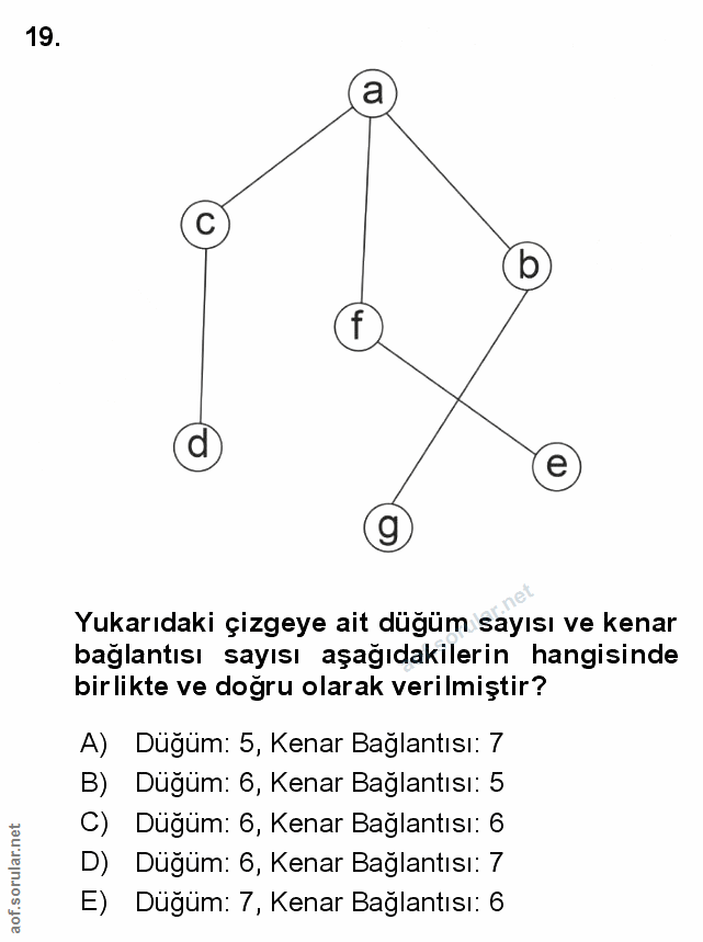 Soru 19