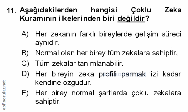 Soru 11