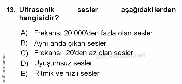 Soru 13