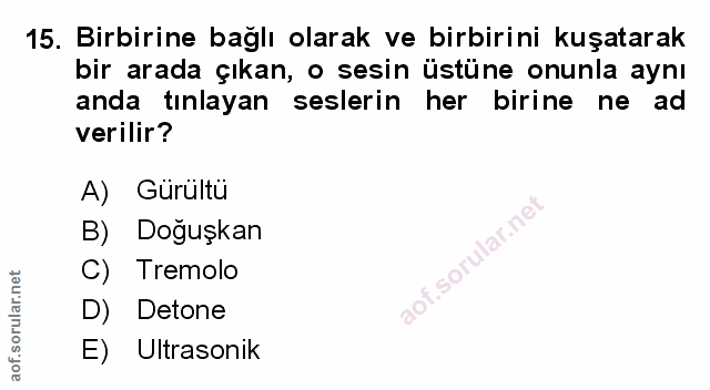 Soru 15