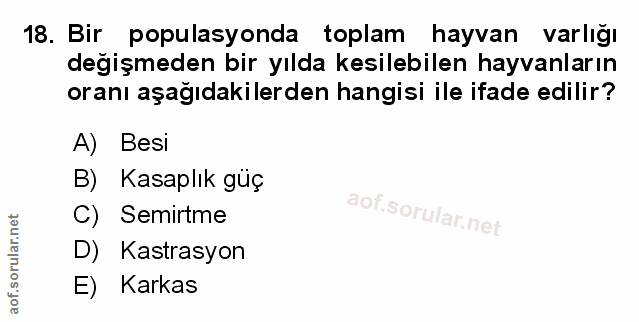 Soru 18