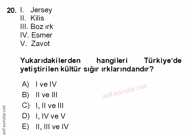 Soru 20