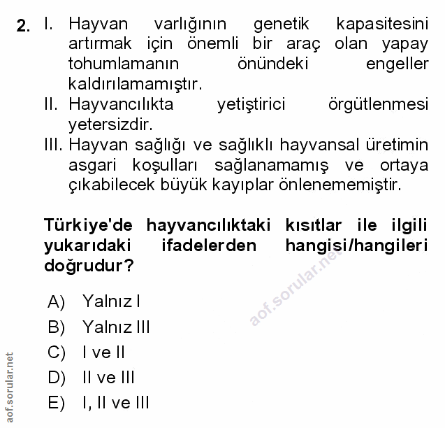 Soru 2