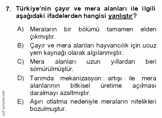 Soru 7