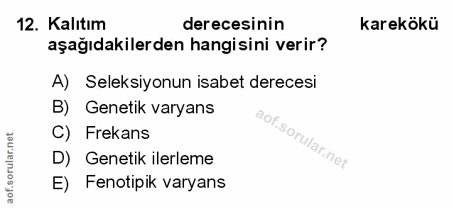 Soru 12