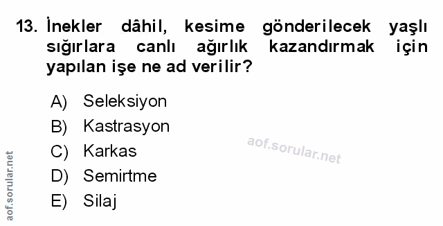 Soru 13