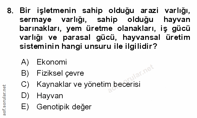 Soru 8