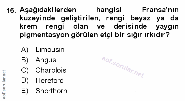 Soru 16