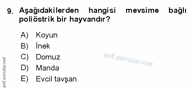 Soru 9