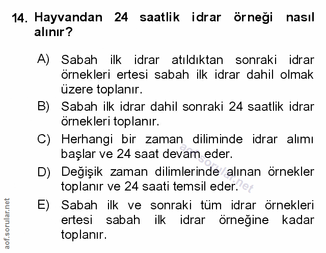Soru 14