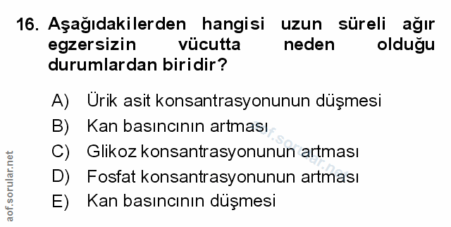 Soru 16