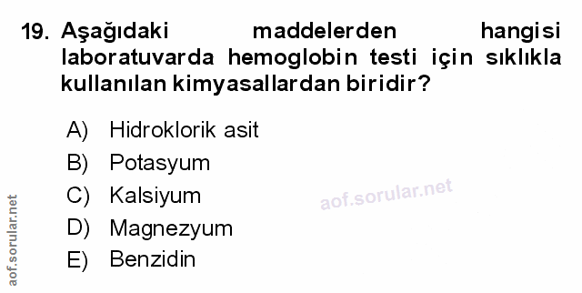 Soru 19