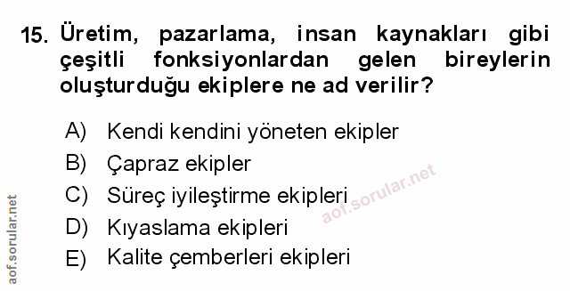 Soru 15