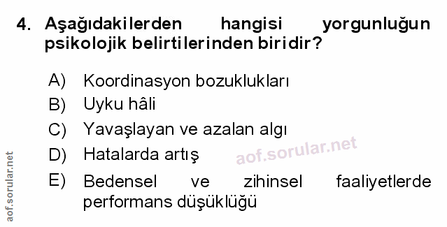 Soru 4
