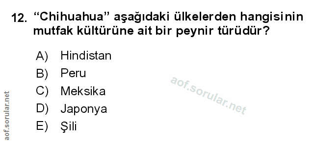 Soru 12