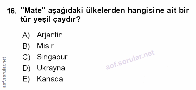 Soru 16
