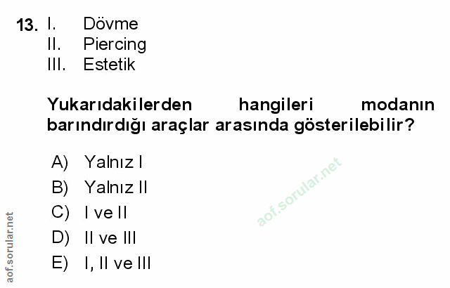 Soru 13