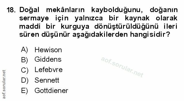 Soru 18