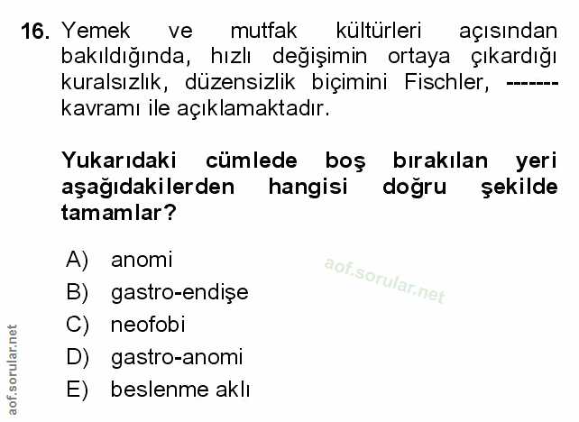Soru 16