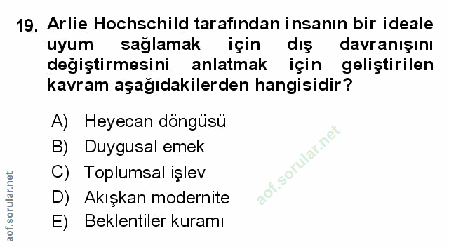 Soru 19