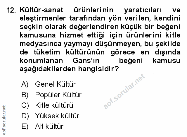 Soru 12