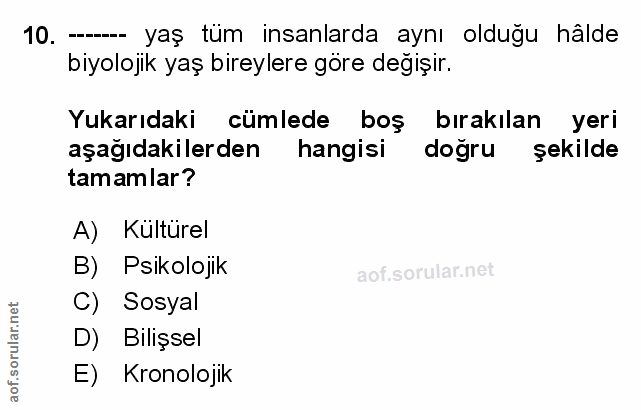 Soru 10
