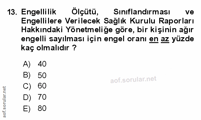 Soru 13