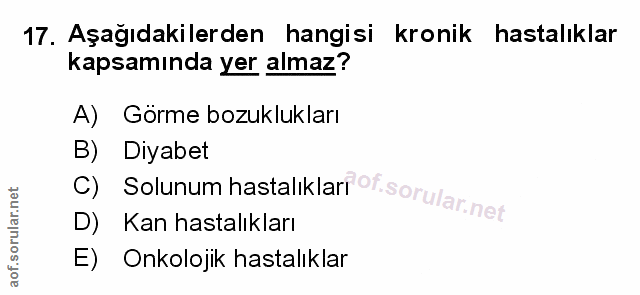 Soru 17
