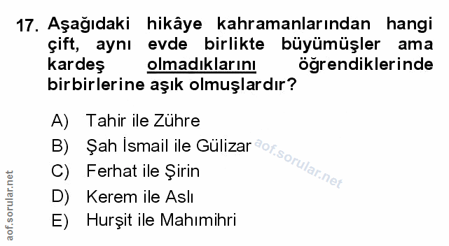 Soru 17