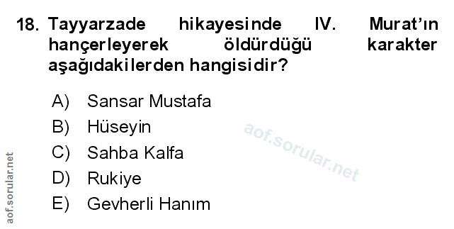 Soru 18