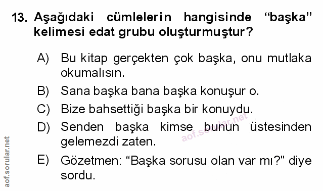 Soru 13