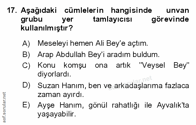 Soru 17