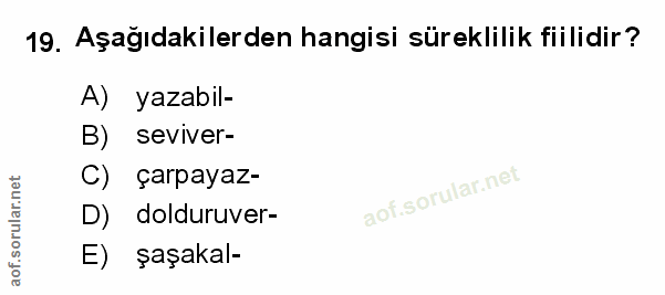 Soru 19