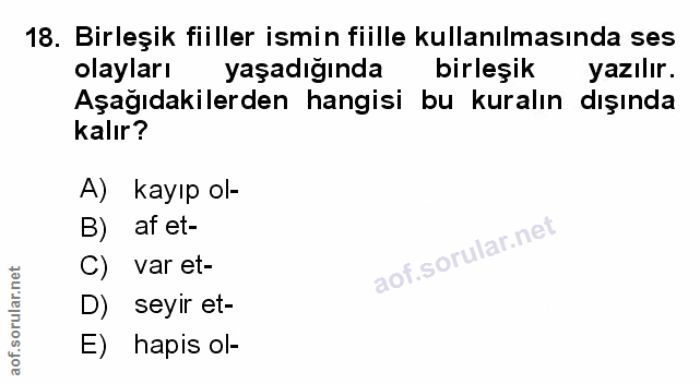 Soru 18