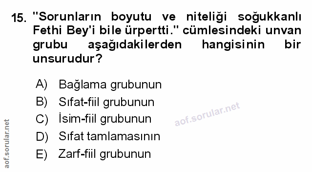 Soru 15
