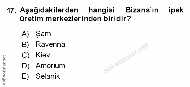 Soru 17