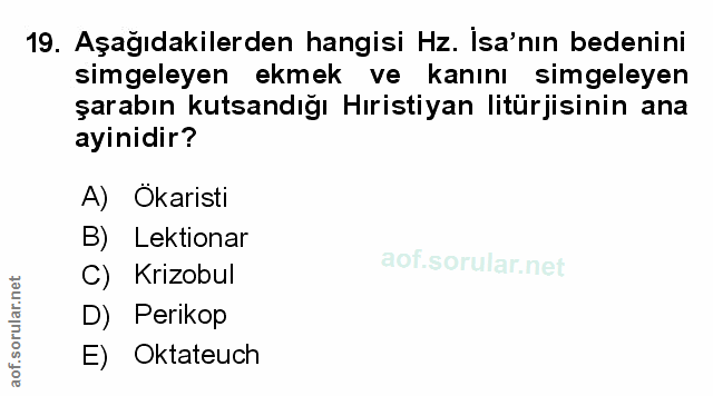 Soru 19
