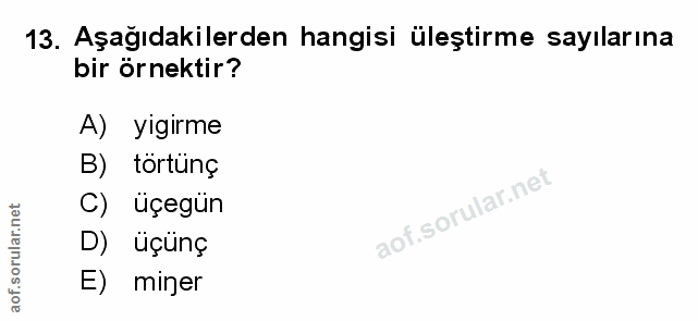 Soru 13