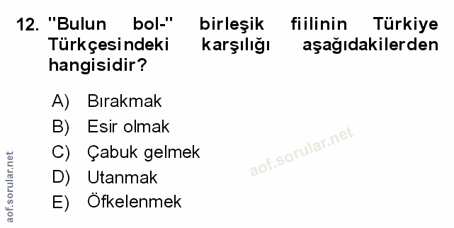 Soru 12
