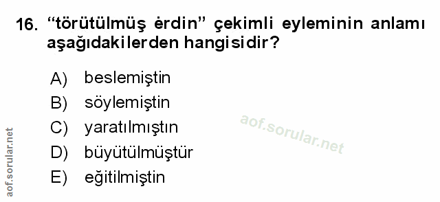 Soru 16
