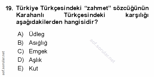 Soru 19