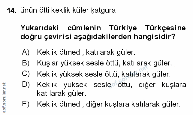 Soru 14