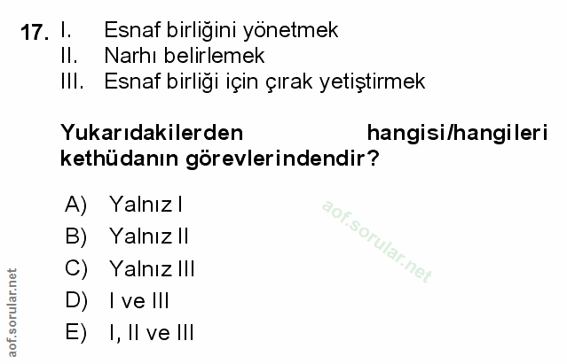 Soru 17