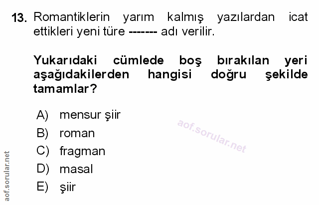 Soru 13